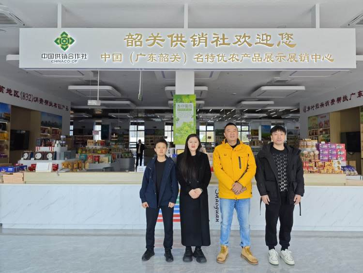 诺华回应县域团队解散传闻：将调整业务运营模式