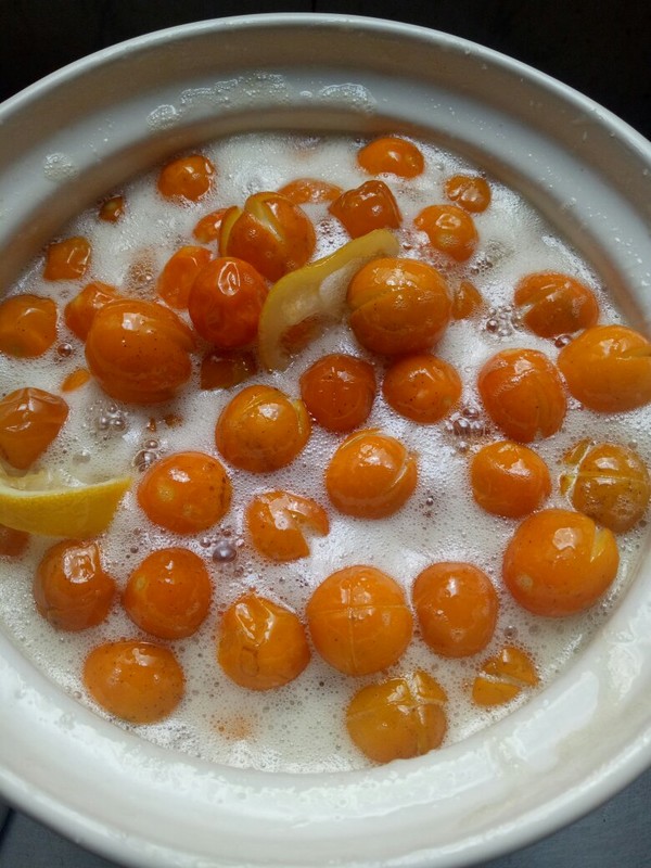 “23润置06”将于11月28日付息