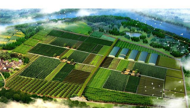 法国为欧盟与南共市贸易协定设定农业保护红线