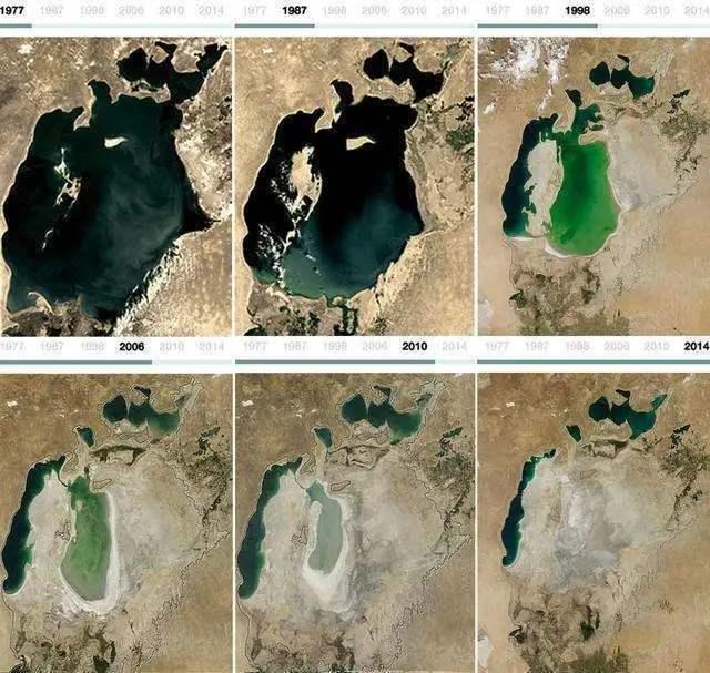 阿尔及利亚政府重启阿德拉尔省占地约5000公顷的棉花加工项目