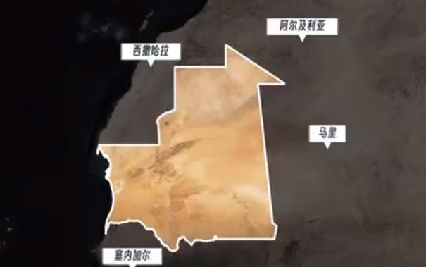 阿尔及利亚医用产品首次进入毛里塔尼亚市场