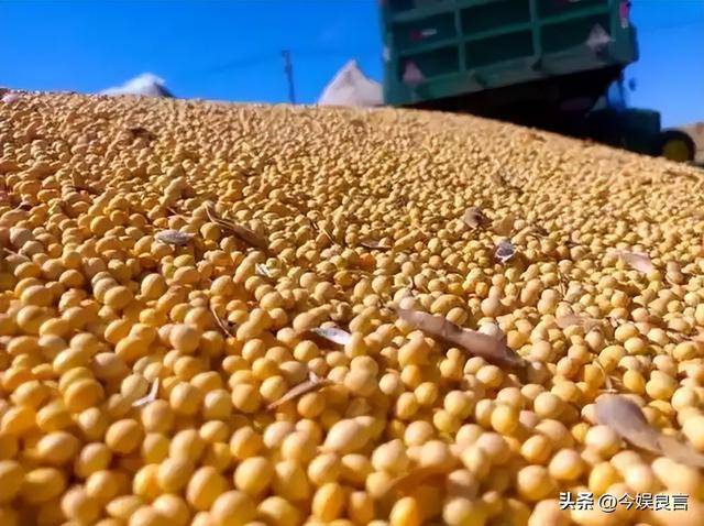 10月巴西对华出口增长33.4%