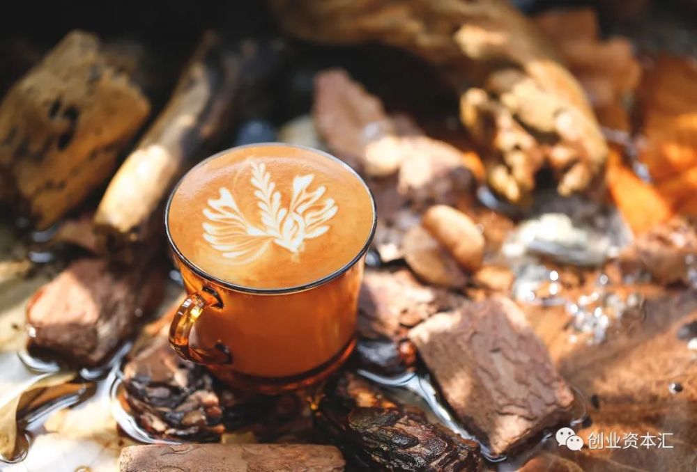 亚洲开发银行计划在两年内向土耳其提供 60 亿美元的融资