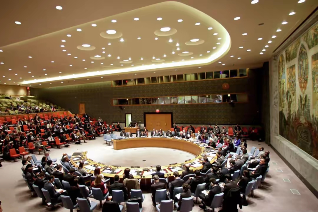 驻毛里塔尼亚使馆举办中资机构学习党的二十届四中全会精神宣贯会