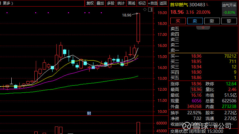 突发！002413，5分钟垂直涨停！这一赛道，大爆发！