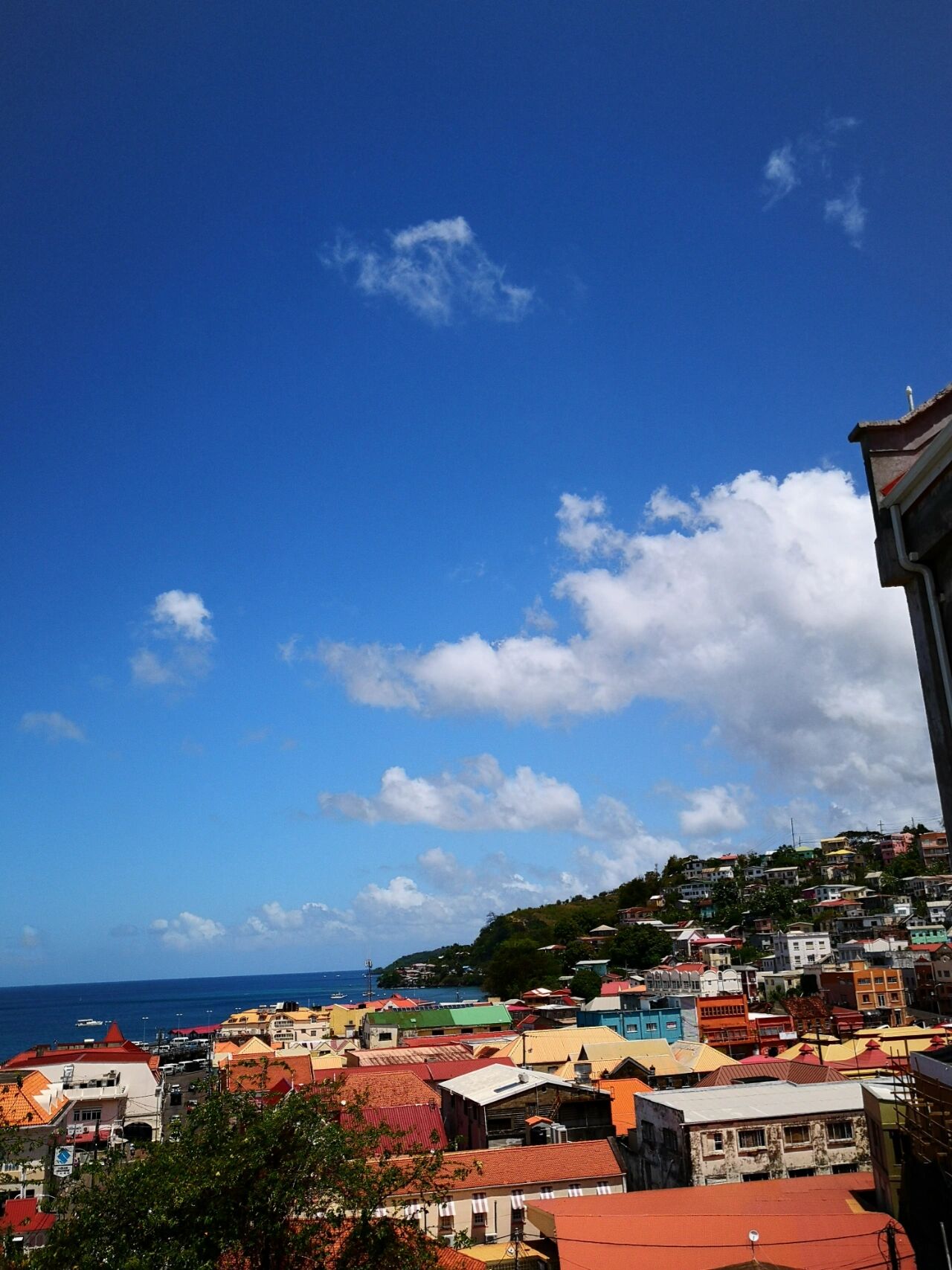 格林纳达启动加勒比地区首个蓝色经济行动实验室