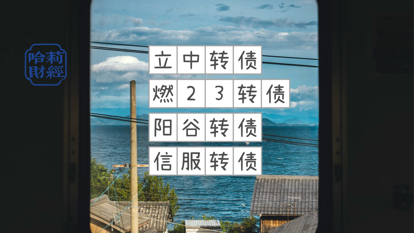 立中集团：关于提前赎回“立中转债”第九次提示性公告