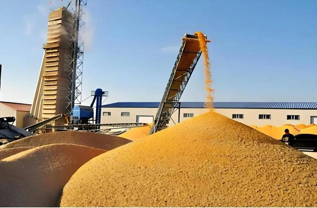 印度推出4500亿卢比方案支持出口和中小微企业