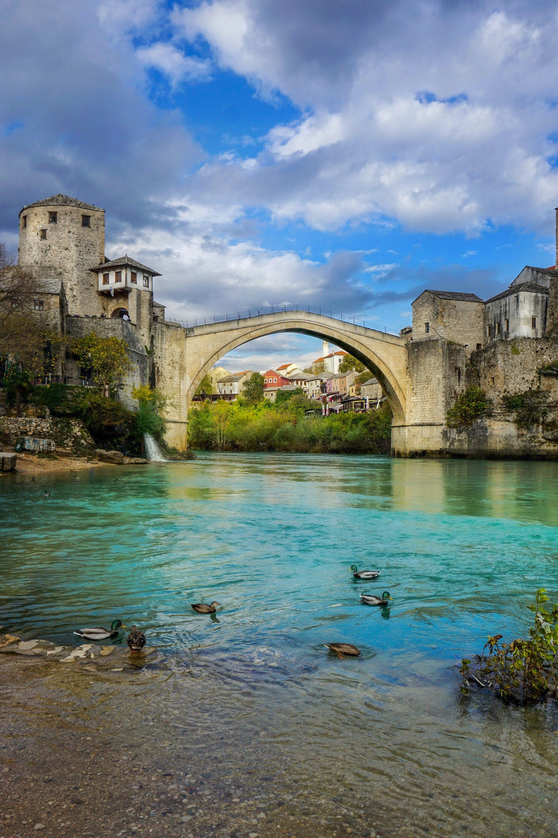 波黑联邦副总理克拉列维奇向波黑联邦经济和社会委员会提交《波黑联邦交易财税化法案》提案