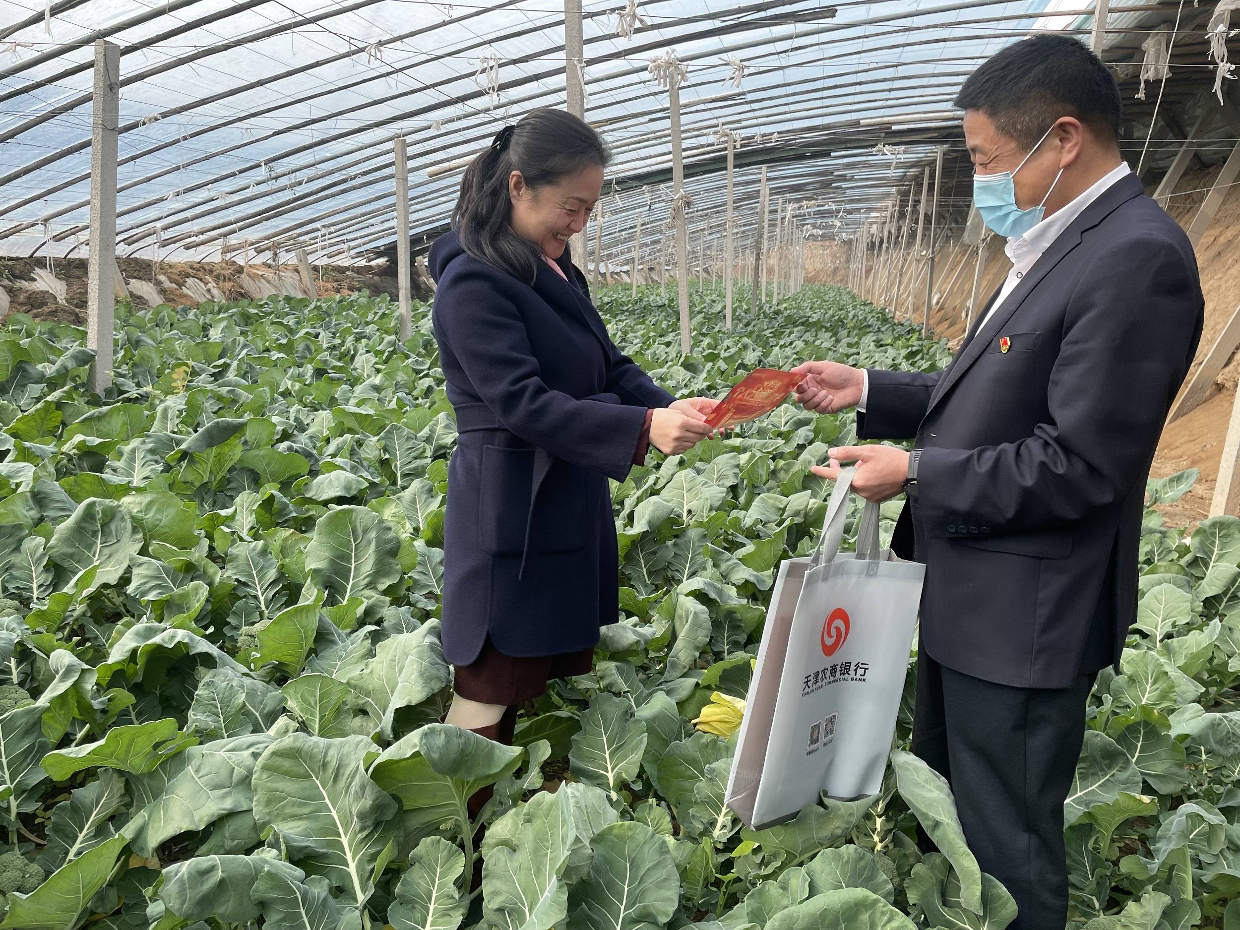 金融助农新模式 信贷嵌入“保险+期货”