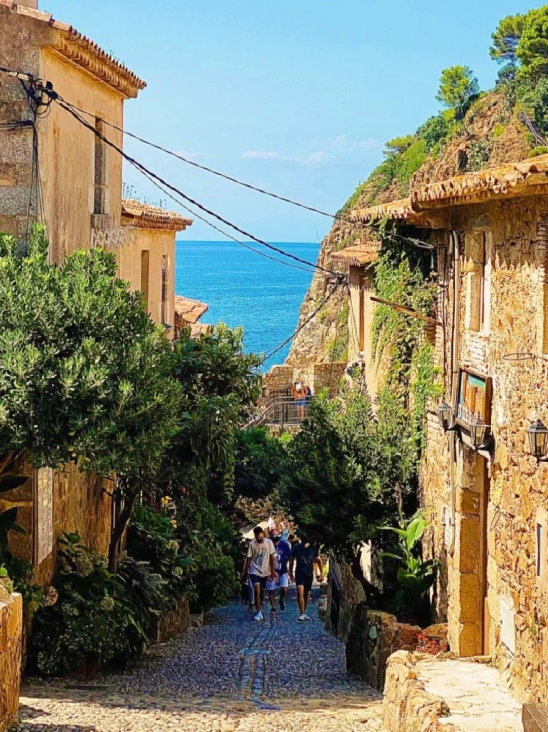 萨拉马卡大区省长Aniel Ramautar一行莅临援苏里南农业技术合作中心考察指导