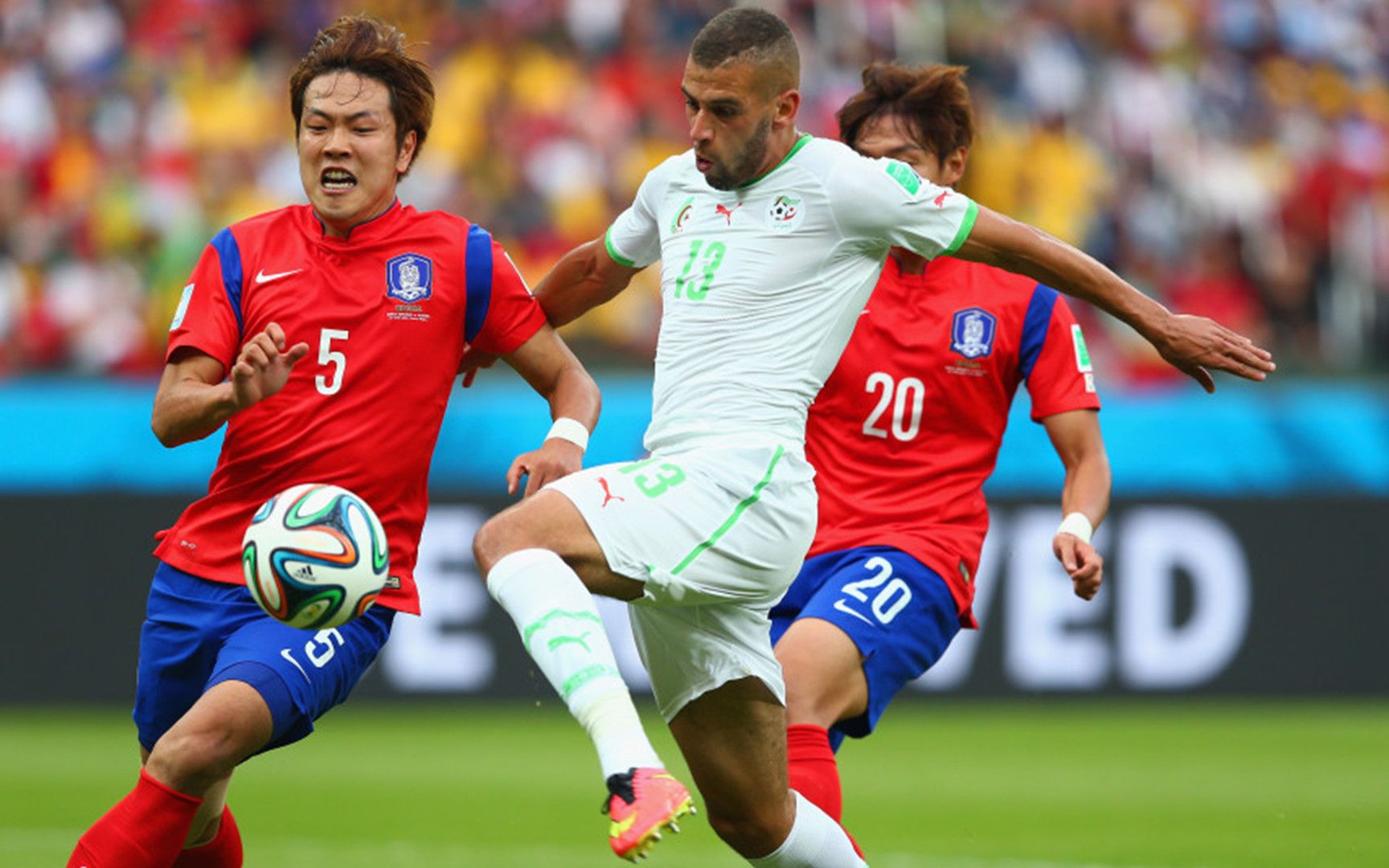 美国农业部：阿尔及利亚大麦产量跃升至阿拉伯国家第二