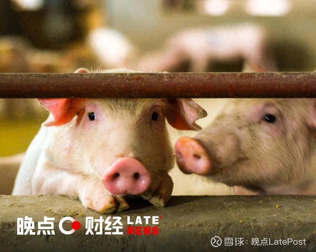 施罗德投资：2026年债市分化趋势或将延续