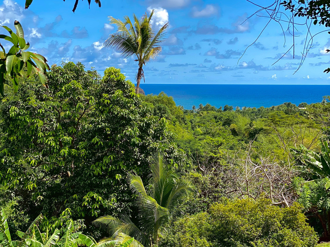 格林纳达通过《2025年渔业(修正)法案》应对美国市场准入危机