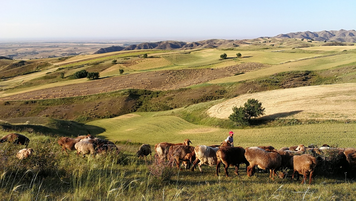 李汉清参赞会见圭亚那农业部长穆斯塔法