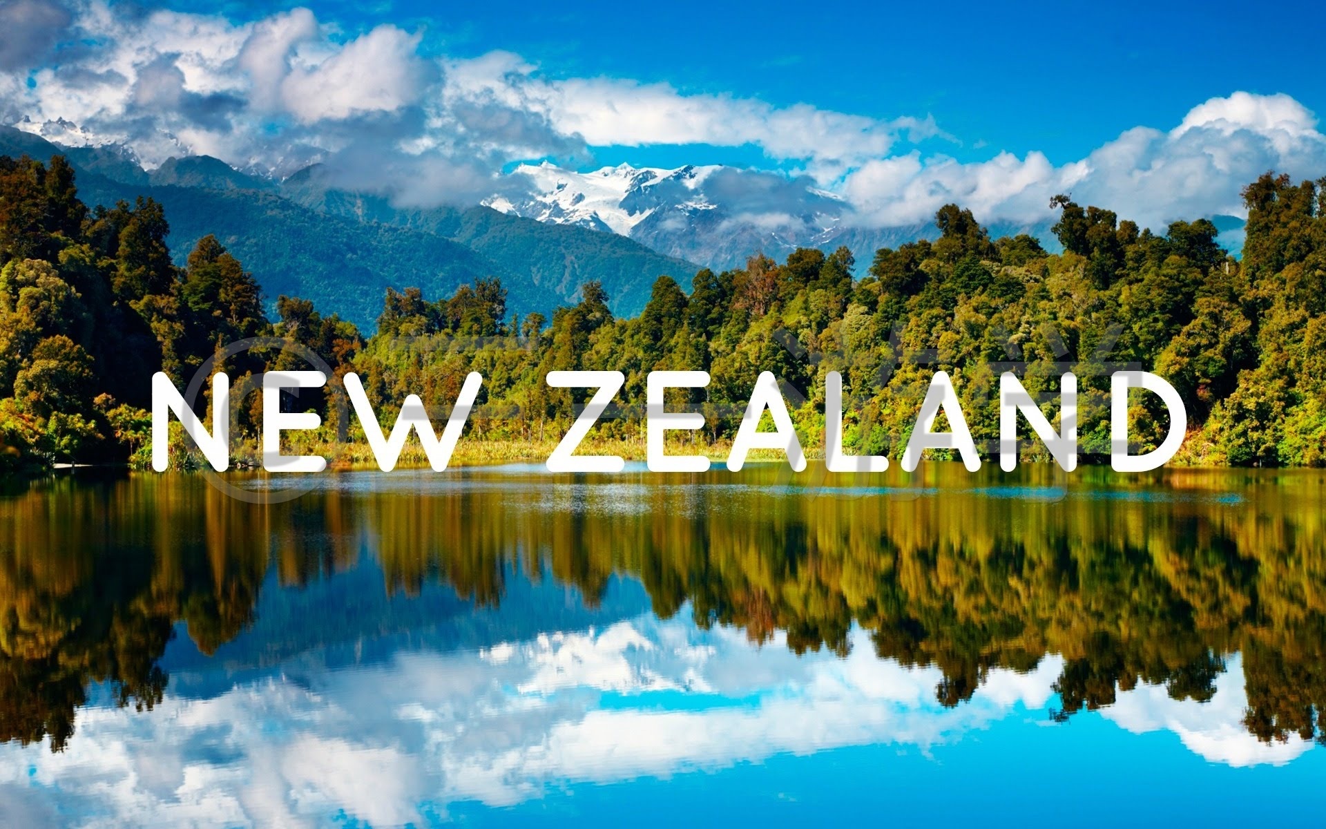 2025新西兰-中国商品博览会在新西兰奥克兰市开幕