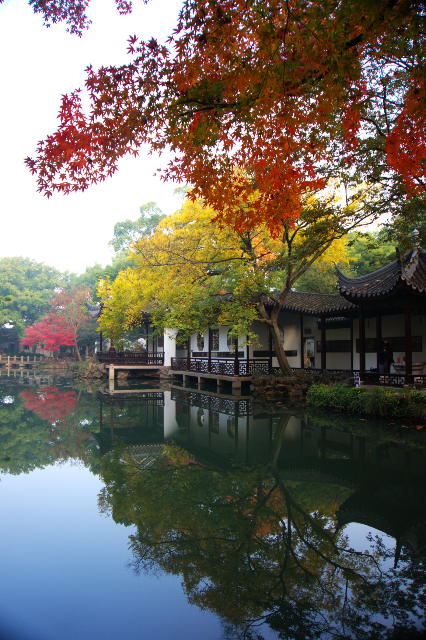 寄畅园：一座园林里的文明密码