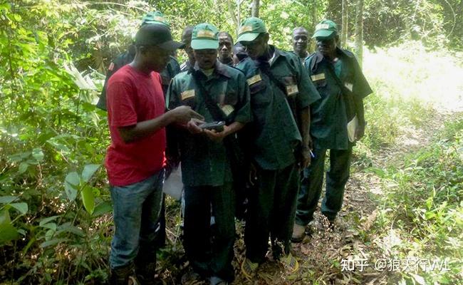 利比里亚橡胶业迎来变革曙光