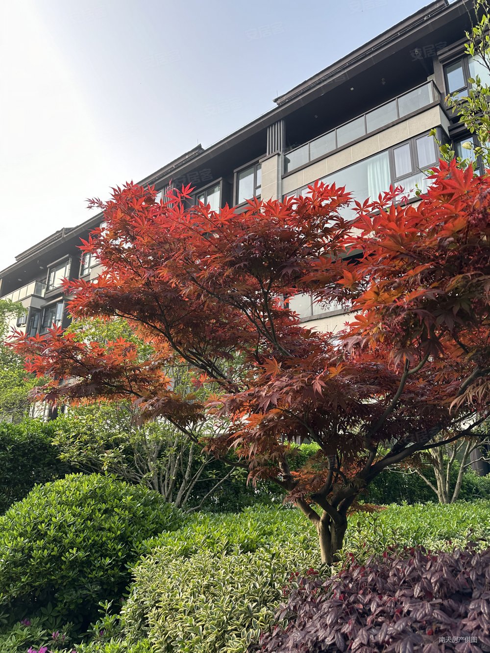 “23万科01”盘中临时停牌