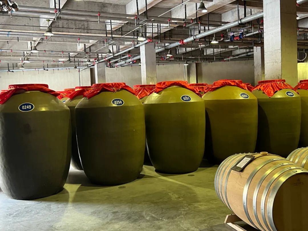 五粮液集团（股份）公司党委书记、董事长曾从钦：上市公司是资本市场投资价值的源泉和发展新质生产力的重要载体