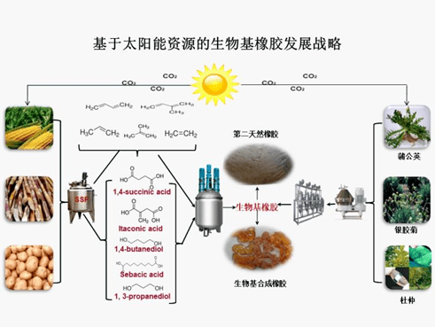 安利股份：在生物基和回收再生领域有部分产品实现量产