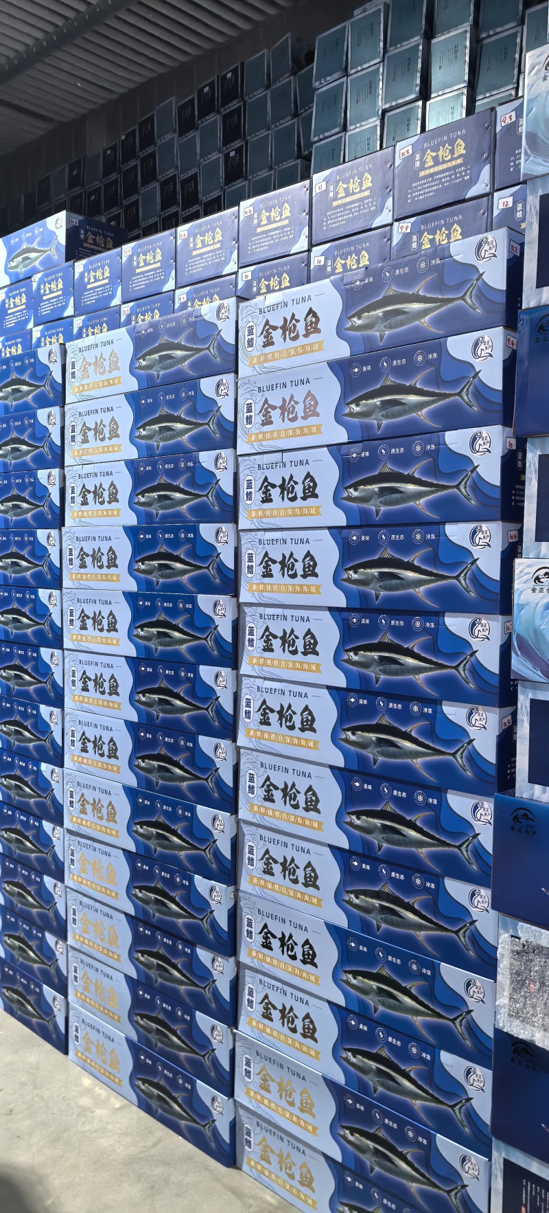 阿尔及利亚蓝旗金枪鱼捕捞份额恢复到历史最高水平