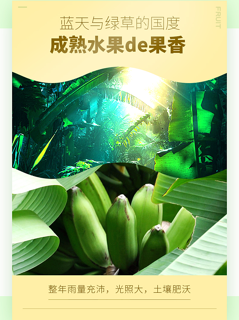 中越签署《关于越南鲜食菠萝蜜输华植物检疫要求议定书》