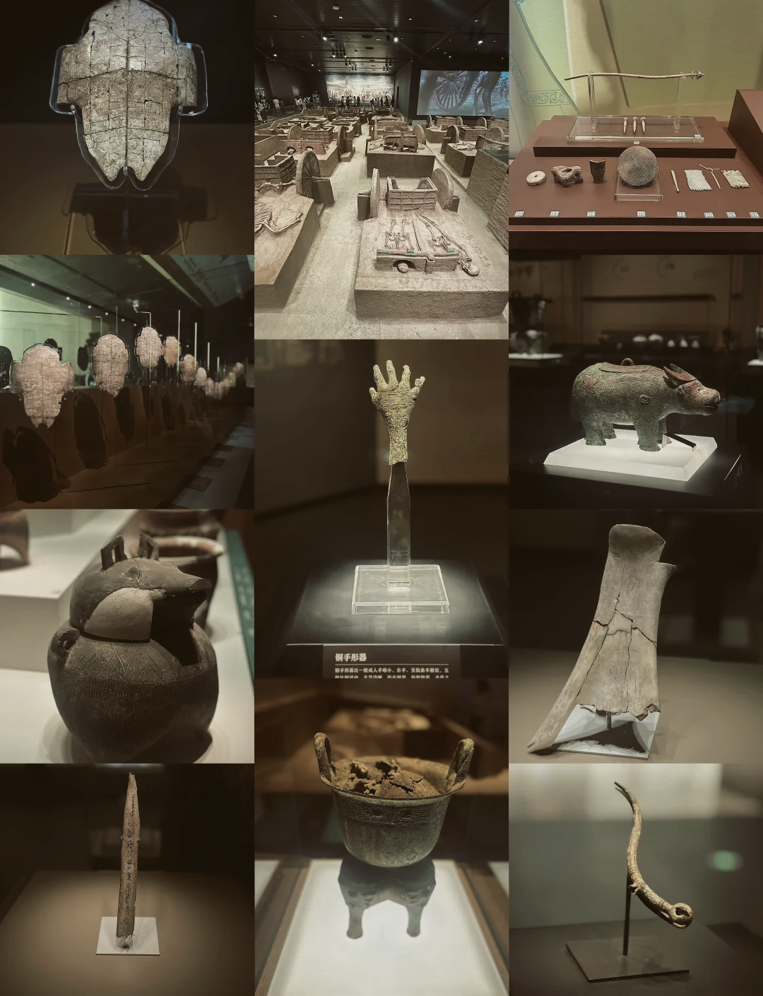 中间地带的文化两合标本：访新沂市花厅遗址