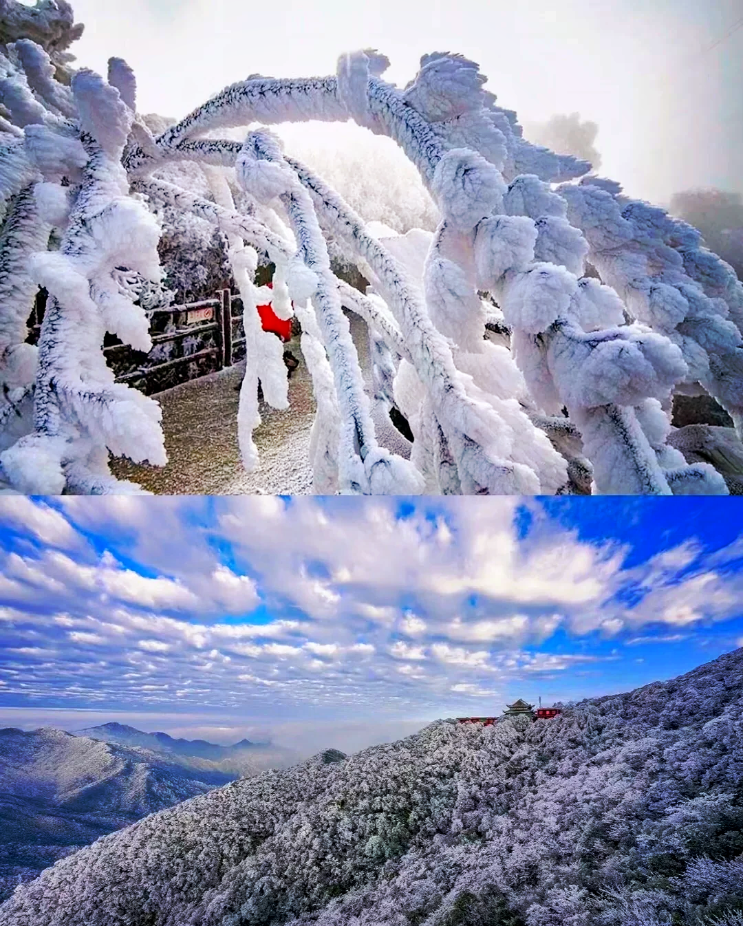 祥源文旅：旗下湖南莽山五指峰景区包含冰雪相关业务