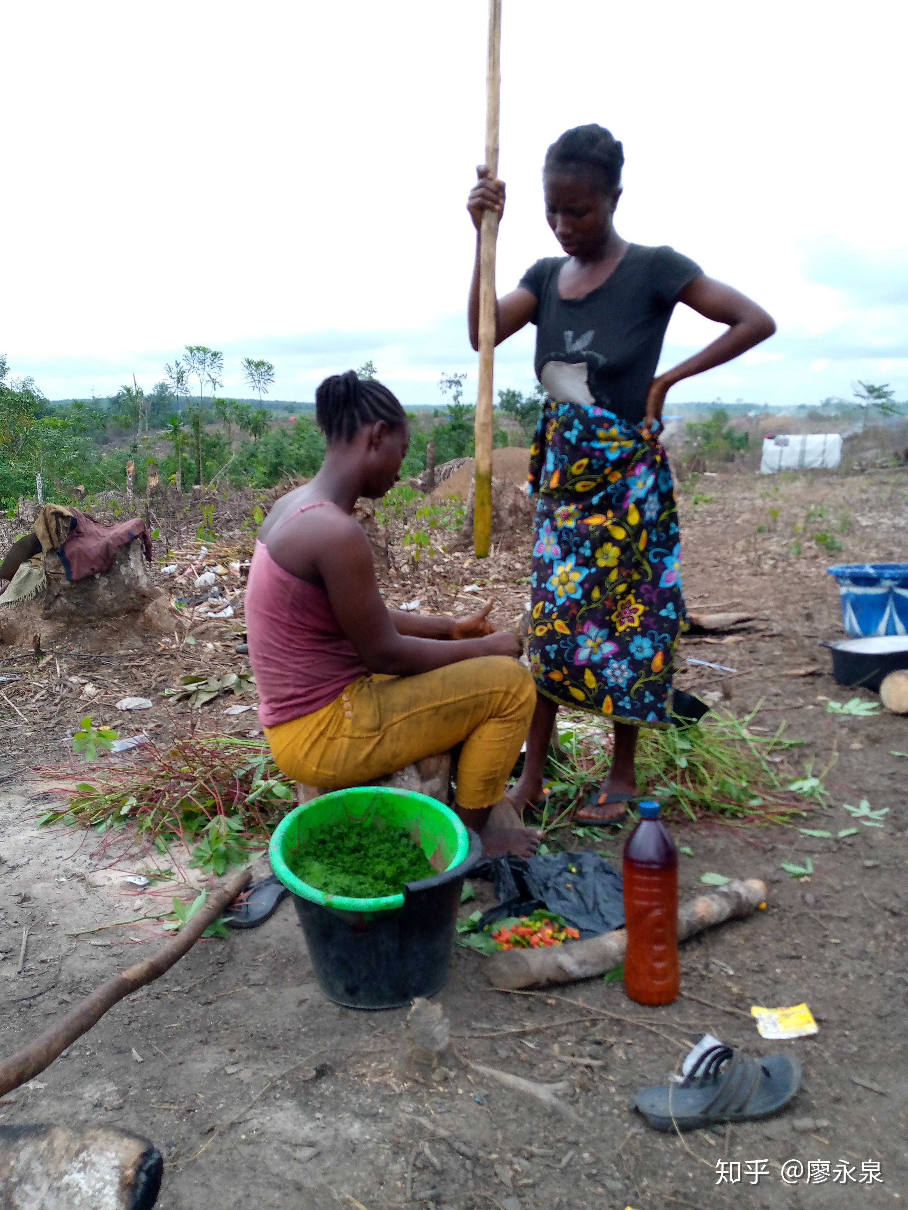 非洲开发基金增资助力利比里亚Gbedin Falls水电站项目
