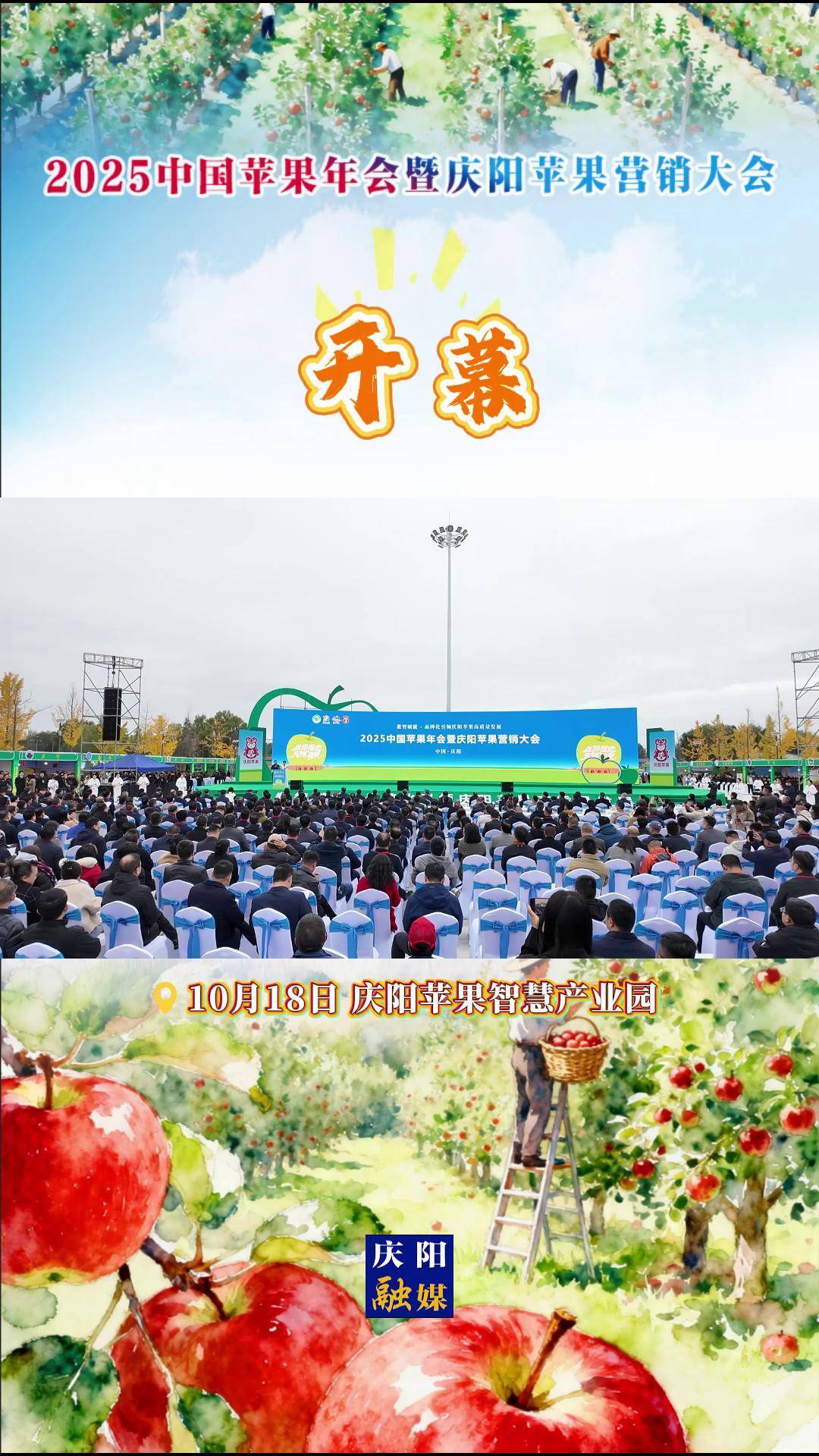 今日看点|2024-2025年度营响大会暨(第二十三届)杰出品牌营销年会将举行