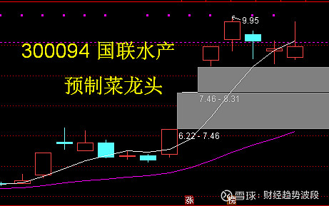 转型预制菜反走业绩下坡路，国联水产连亏六年，3亿“卖子”回血