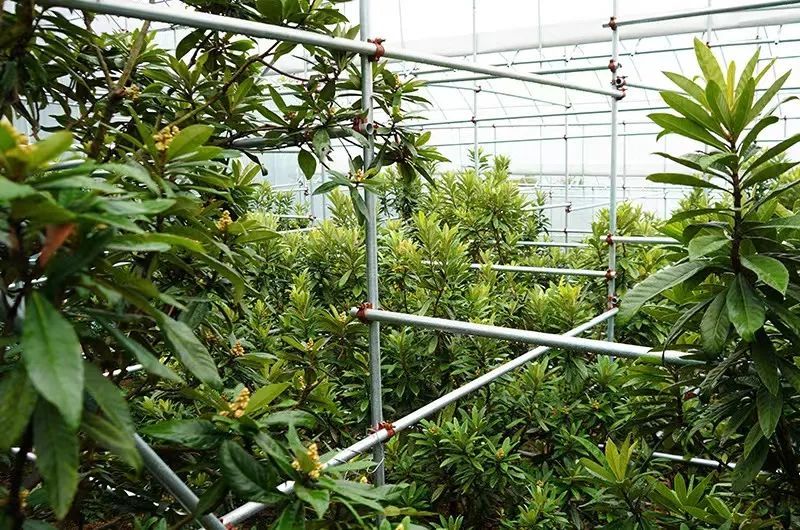 政策工具协同发力 金融活水精准滴灌硬科技