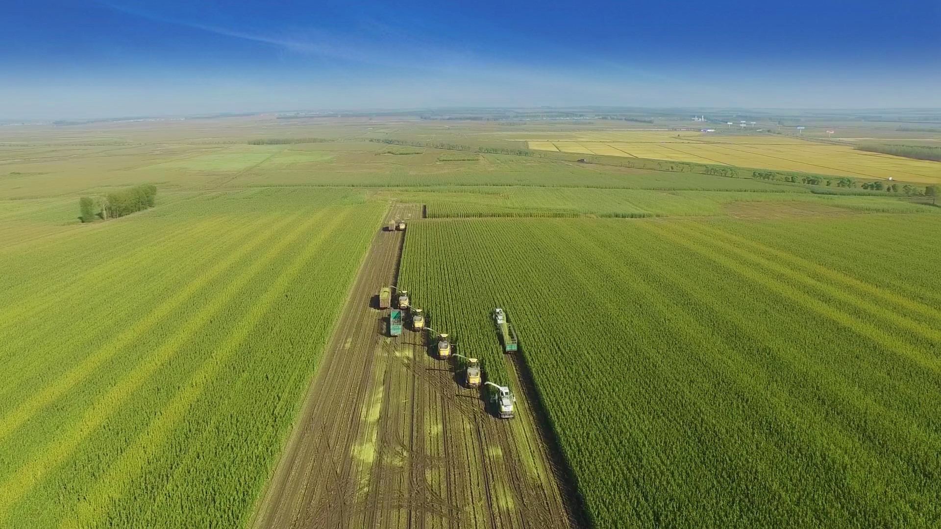 德邦证券程强：“十五五”开局之年产业仍是重点，扩内需、科技创新、“双碳”值得关注