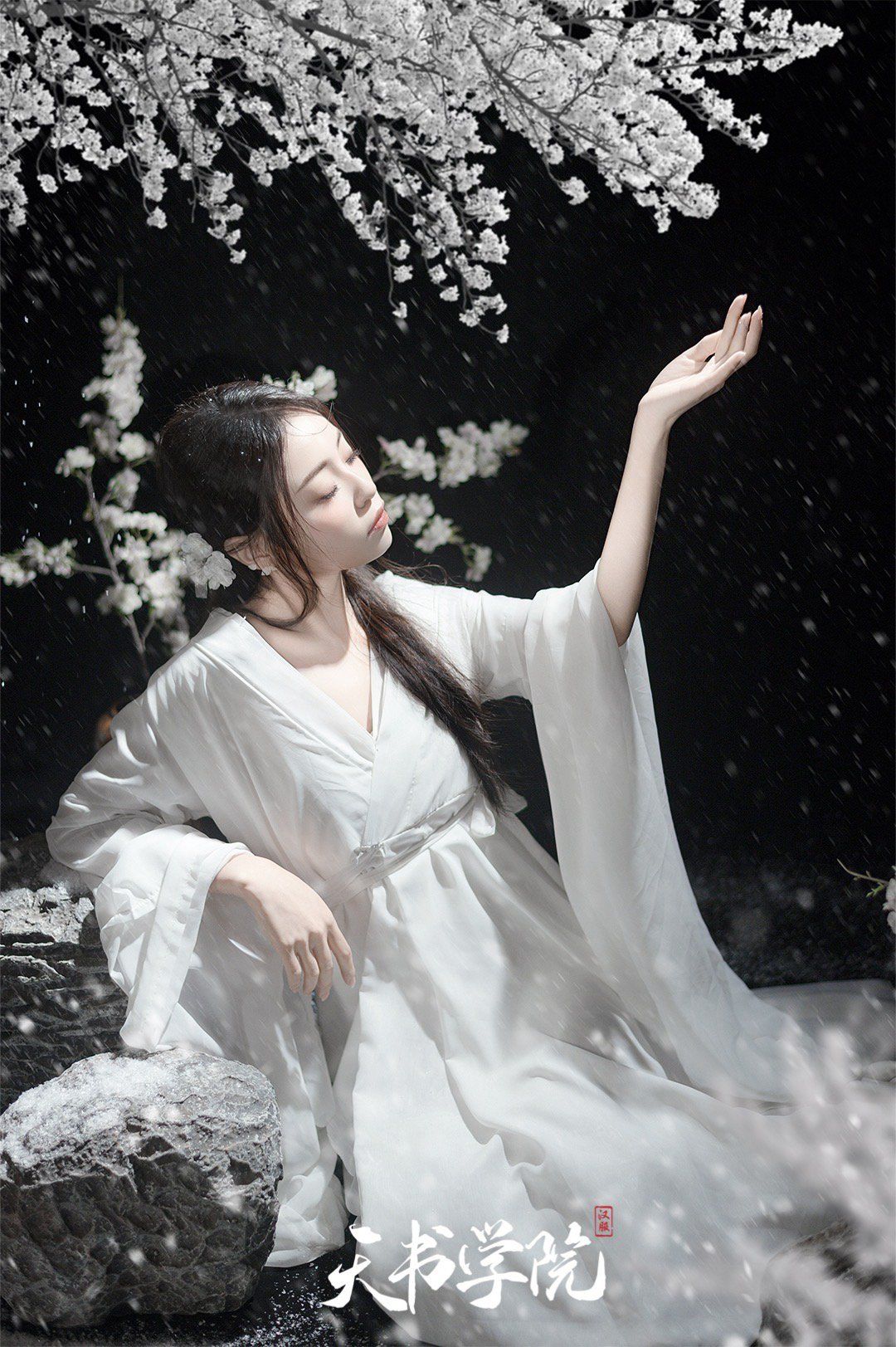 雪，是故宫最好的妆容