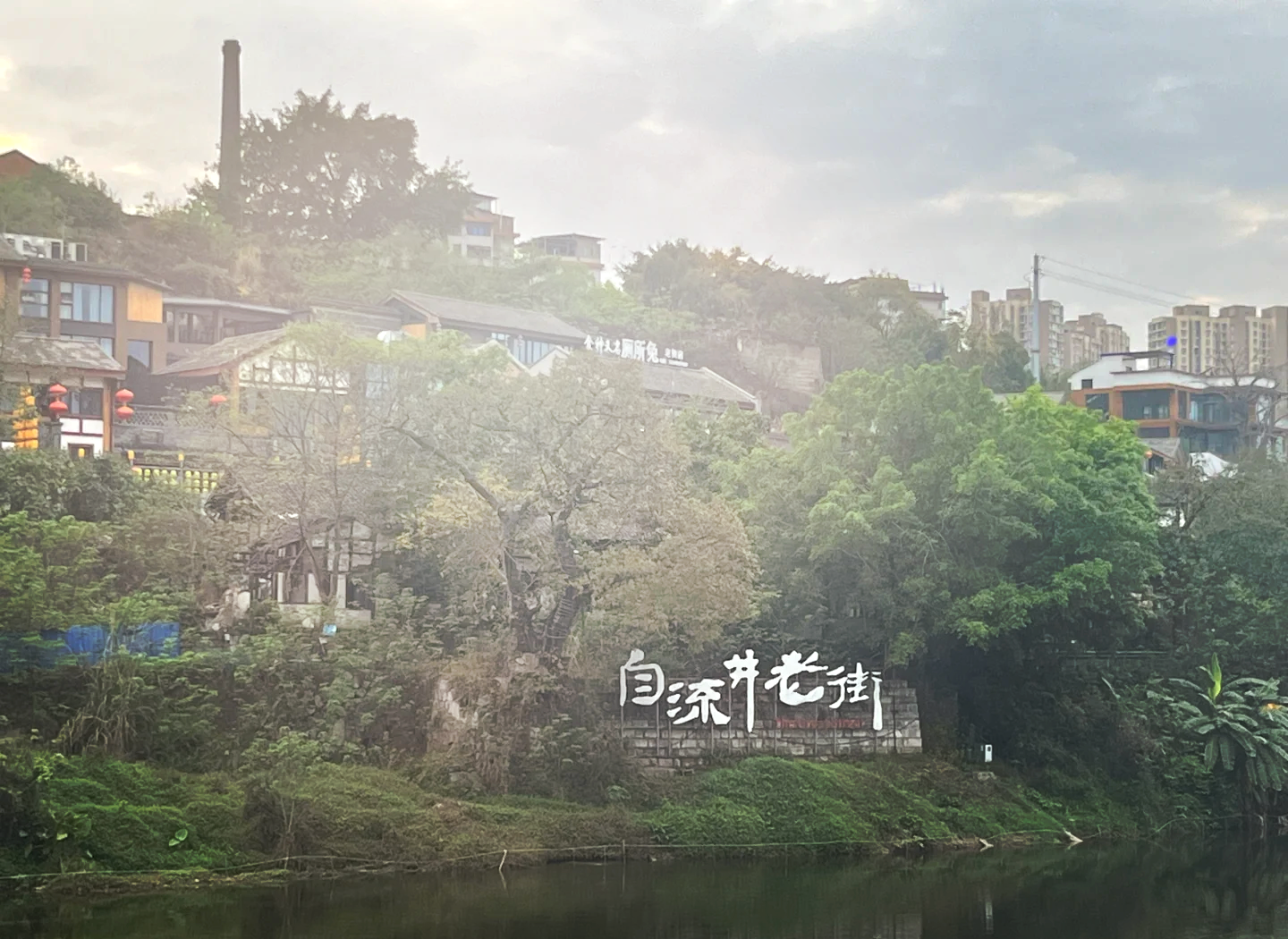 鱼肉脆化的探寻之旅(念念有余)