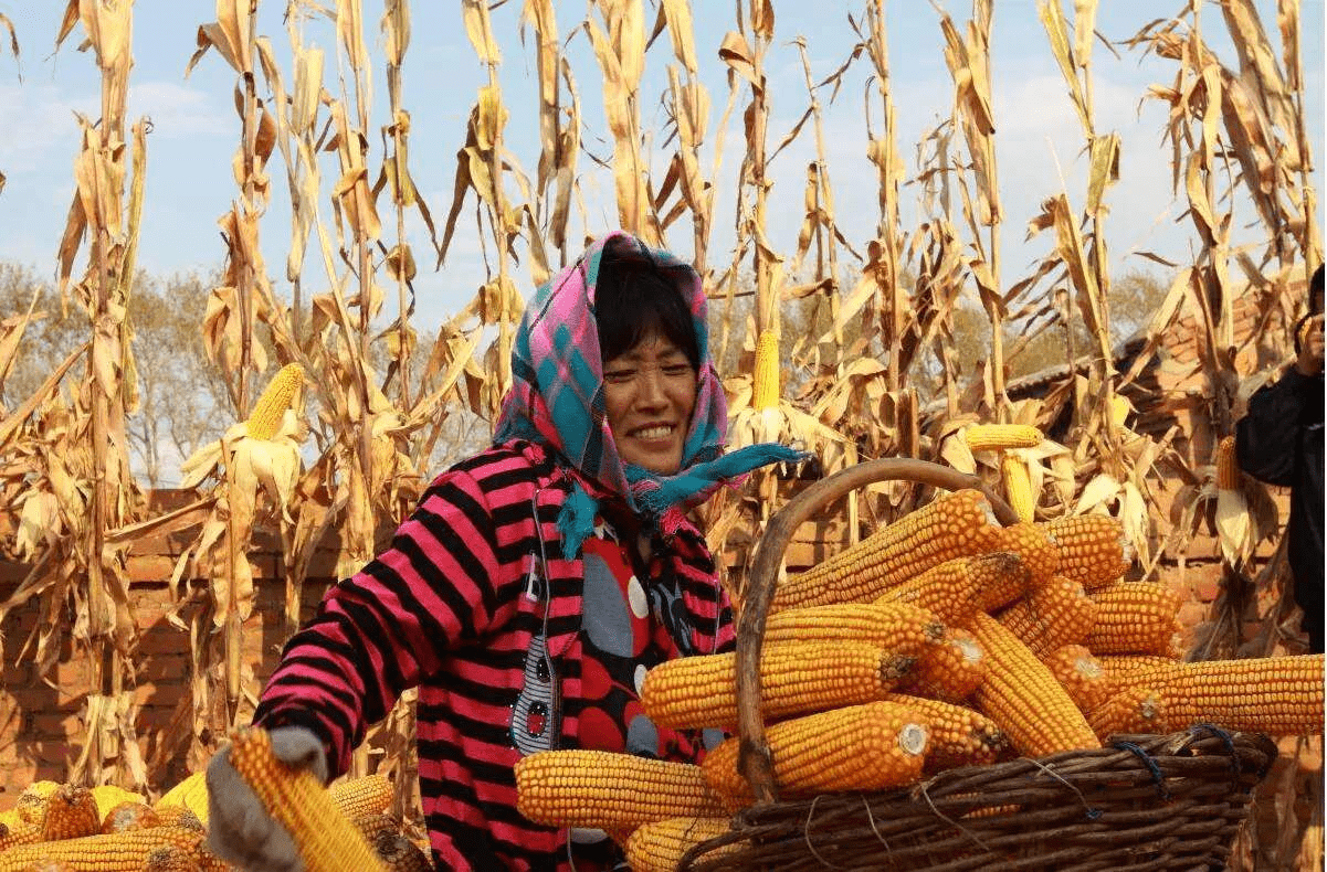 南苏丹获拨5000万美元用于提升粮食系统气候韧性