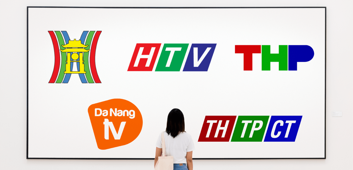 越南发布《数字政府发展计划》