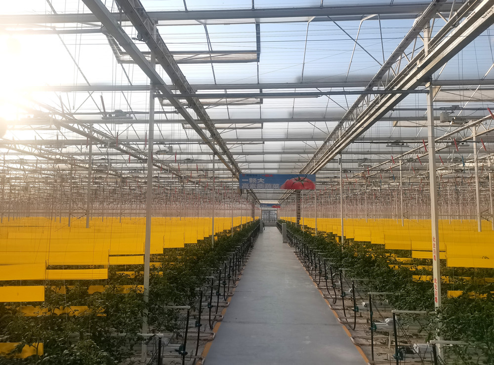 智慧农业动能强劲启新程