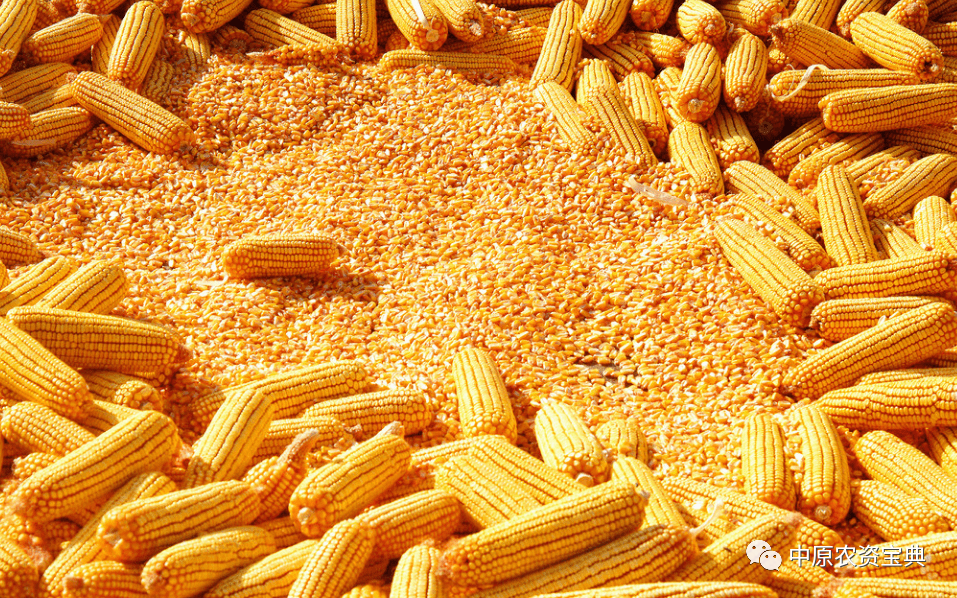 纯碱期价：打响成本线拉锯战