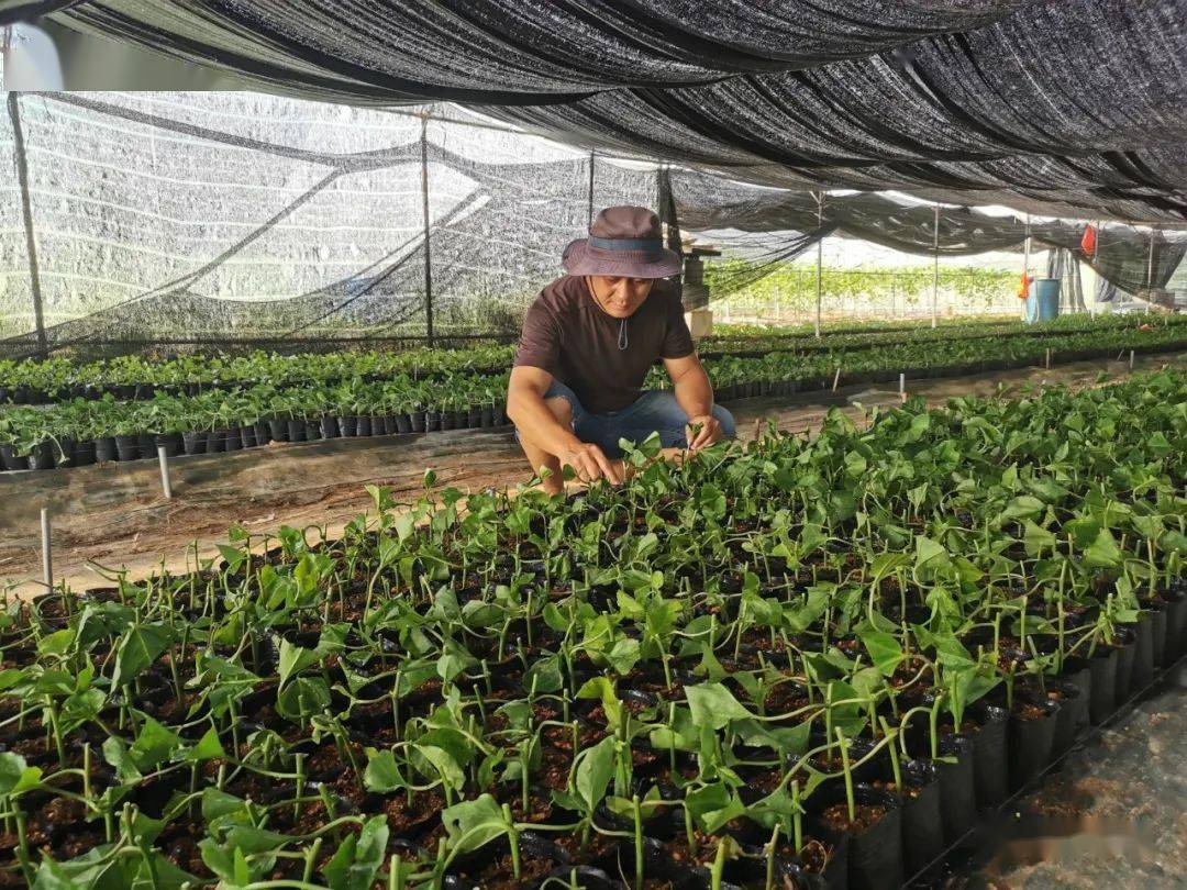 广汽集团成功发行20亿元绿色科技创新债券