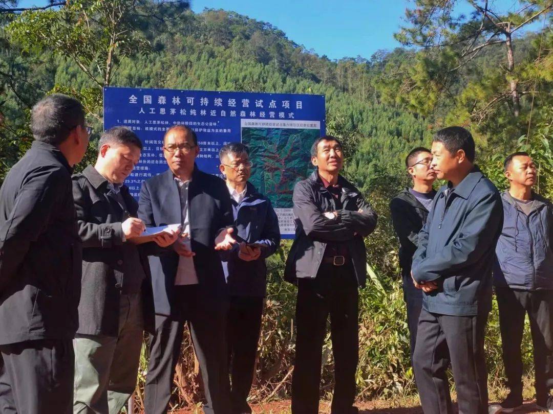 国际项目助力利比里亚社区森林实现可持续转型