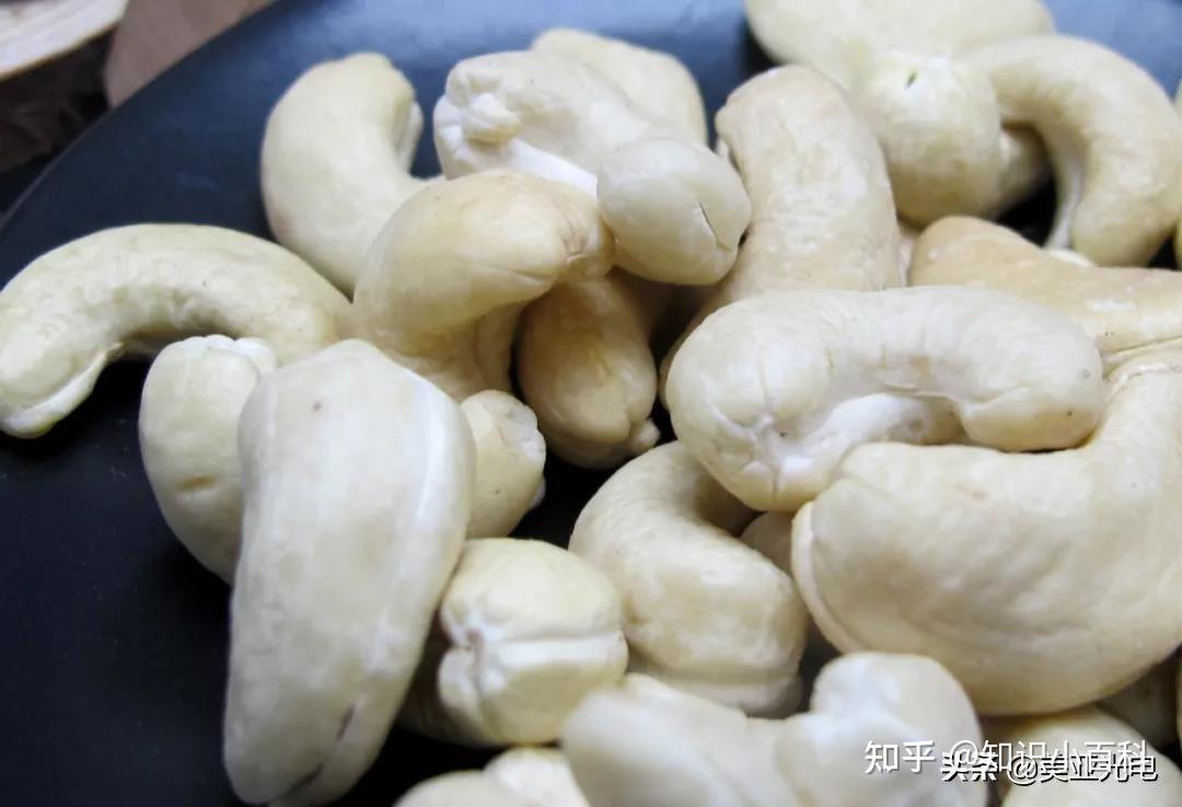 科特迪瓦希在2030年将腰果本地加工率提升至50%