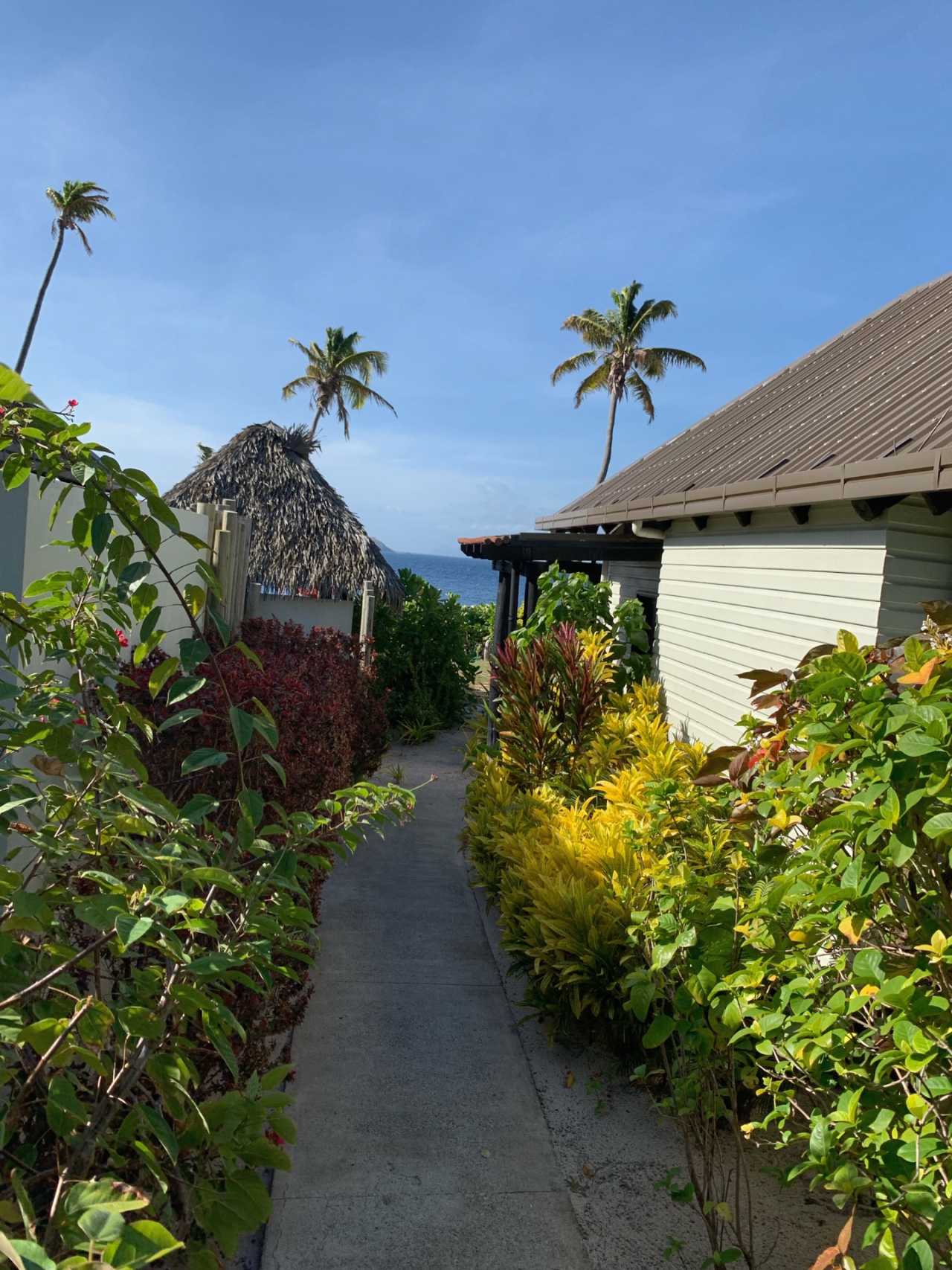 斐济储备银行报告称斐济经济走强、通胀下降