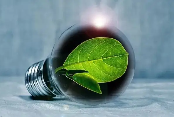 科特迪瓦致力于通过发展生物质能实现能源转型