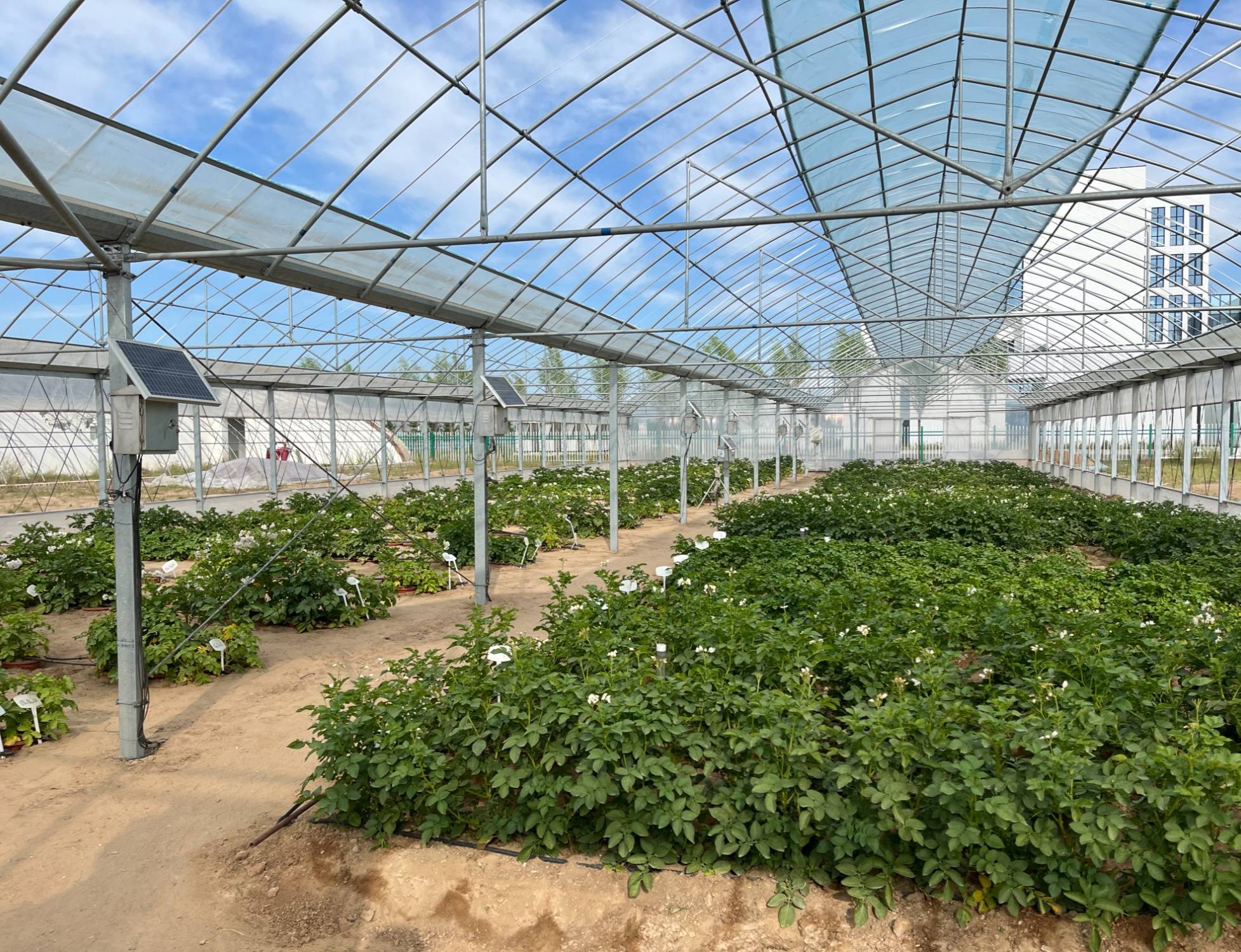 科技让种植规模挣脱人力束缚（念念有余）