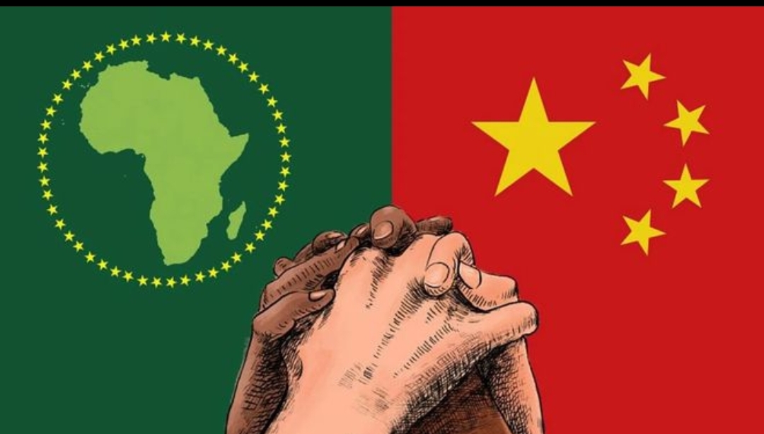 零关税，让更多非洲产品丰富中国市场