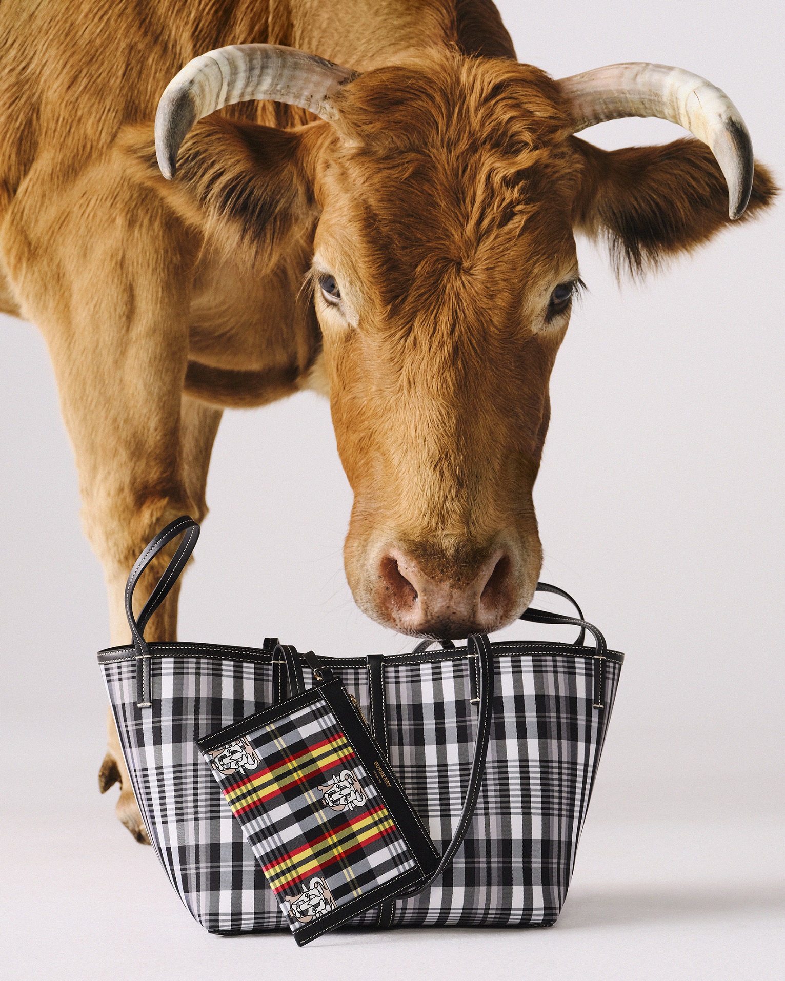 Burberry2026新禧贺岁，广告大片礼赞马年新春