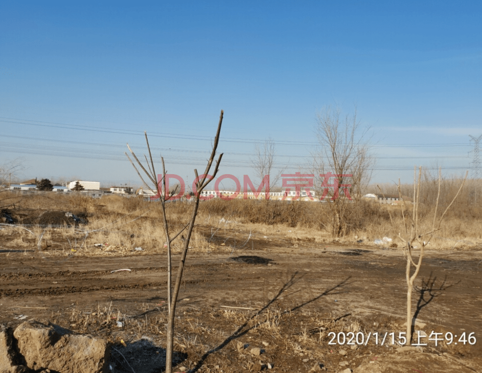 黑牡丹：全资子公司竞得土地使用权