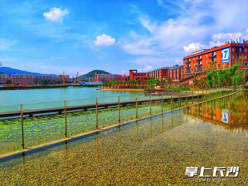 用激励“双创”的思路促进全民阅读